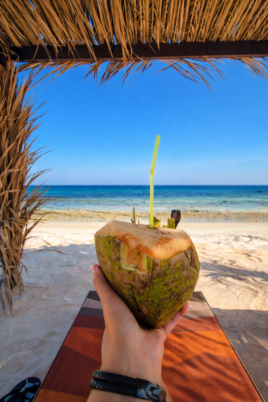 Beach day at Ocean Camp Bar Al Hikman Beach day at Ocean Camp Bar Al Hikman