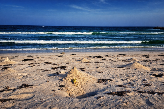 Surroundings of Ocean Camp Bar Al Hikman Surroundings of Ocean Camp Bar Al Hikman