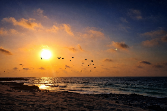 Surroundings of Ocean Camp Bar Al Hikman Surroundings of Ocean Camp Bar Al Hikman