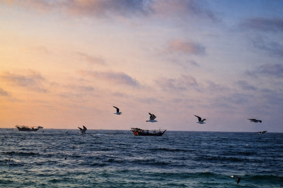 Surroundings of Ocean Camp Bar Al Hikman Surroundings of Ocean Camp Bar Al Hikman